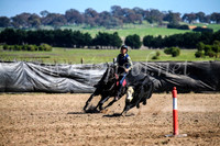 GoulburnCampdraft2017_3627