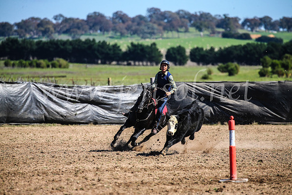 GoulburnCampdraft2017_3627