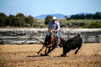 GoulburnCampdraft2017_3589