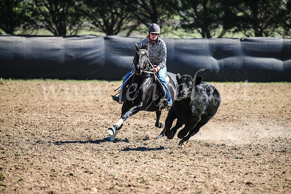 GoulburnCampdraft2017_3660