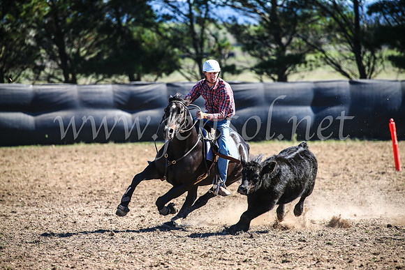 GoulburnCampdraft2017_3671