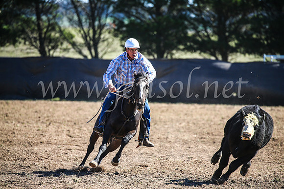 GoulburnCampdraft2017_3599