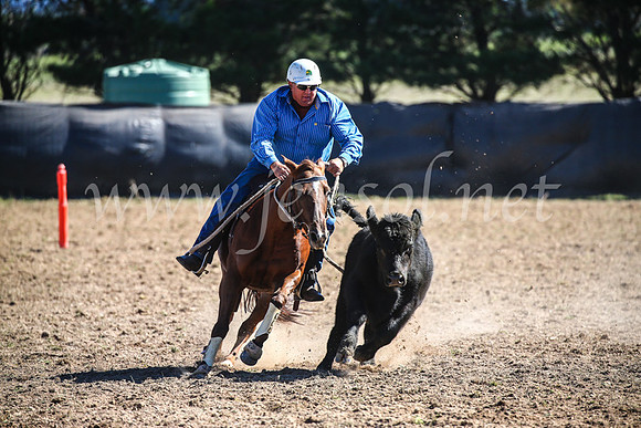 GoulburnCampdraft2017_3788