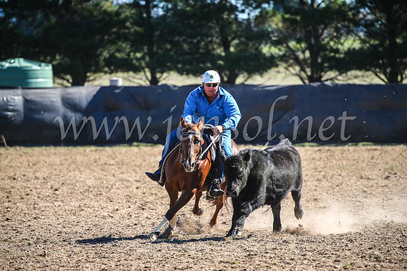 GoulburnCampdraft2017_3781