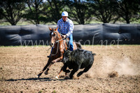 GoulburnCampdraft2017_3578