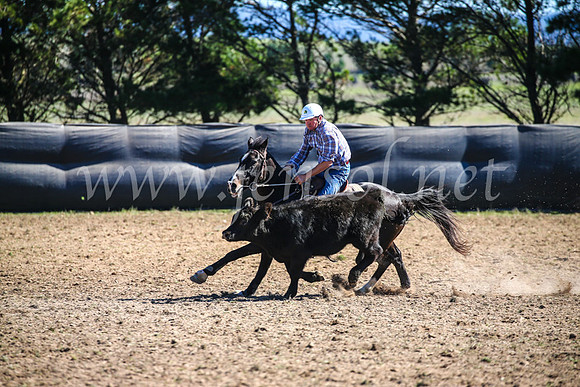 GoulburnCampdraft2017_3717