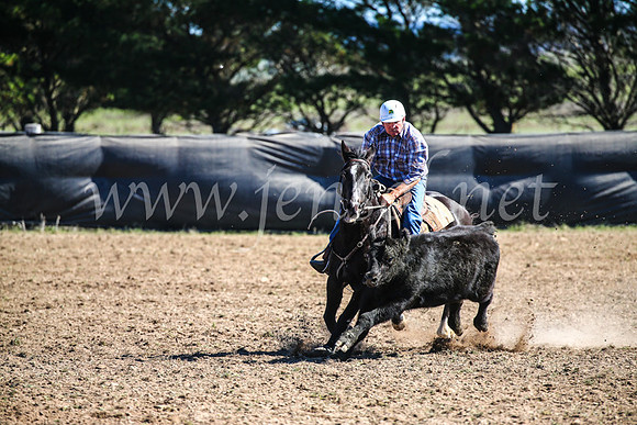 GoulburnCampdraft2017_3708