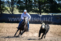 GoulburnCampdraft2017_3601