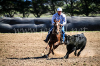 GoulburnCampdraft2017_3580