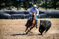 GoulburnCampdraft2017_3576