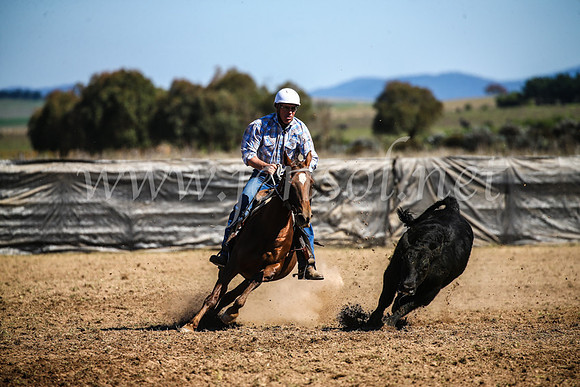 GoulburnCampdraft2017_3584