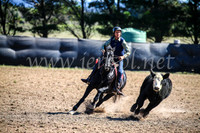 GoulburnCampdraft2017_3617