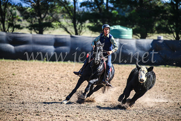 GoulburnCampdraft2017_3617