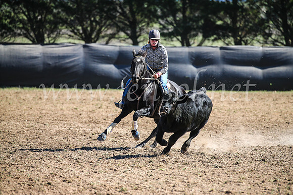 GoulburnCampdraft2017_3658
