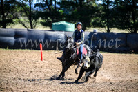 GoulburnCampdraft2017_3610
