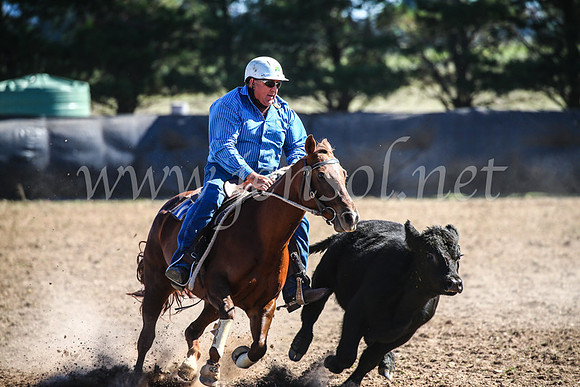 GoulburnCampdraft2017_3786