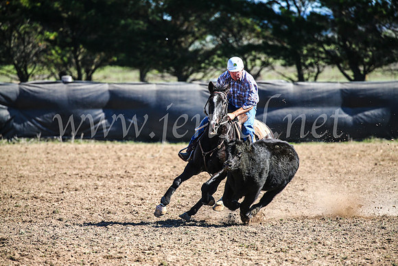 GoulburnCampdraft2017_3725