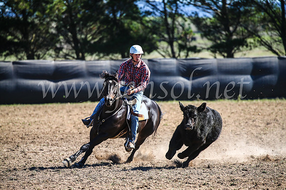 GoulburnCampdraft2017_3662