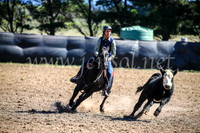 GoulburnCampdraft2017_3620