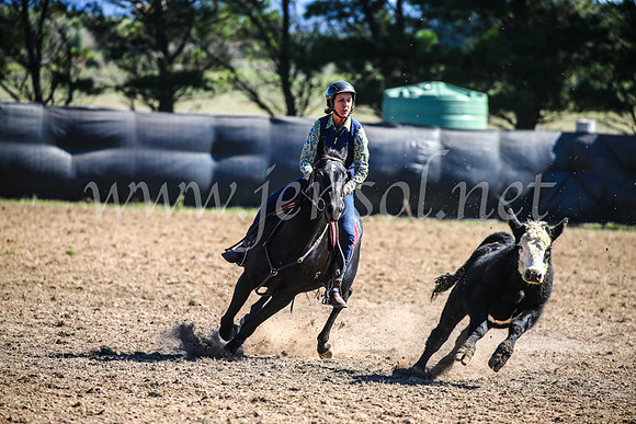 GoulburnCampdraft2017_3620