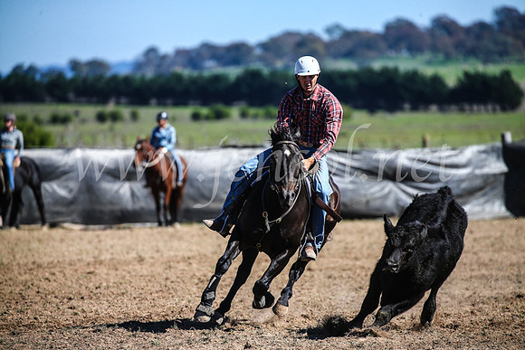 GoulburnCampdraft2017_3680