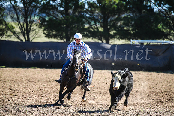 GoulburnCampdraft2017_3596