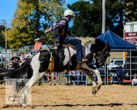 BraidwoodRodeo2015_2870