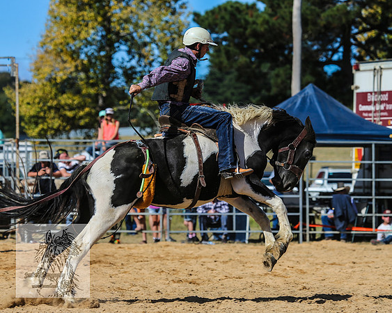 BraidwoodRodeo2015_2870