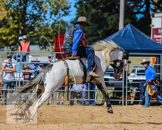 BraidwoodRodeo2015_2821
