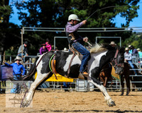 BraidwoodRodeo2015_2883