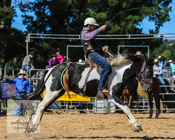 BraidwoodRodeo2015_2883