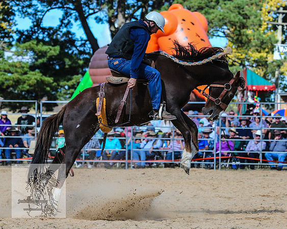 BraidwoodRodeo2015_2771