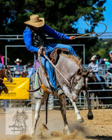 BraidwoodRodeo2015_2857
