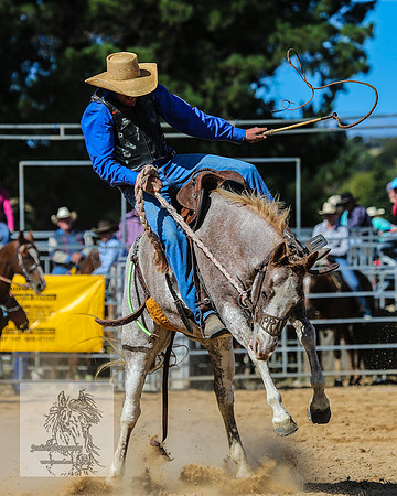 BraidwoodRodeo2015_2857