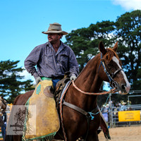 BraidwoodRodeo2015_2647