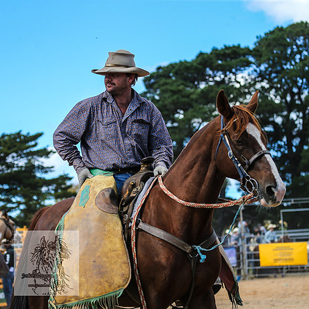 BraidwoodRodeo2015_2647