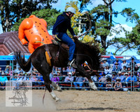 BraidwoodRodeo2015_2790