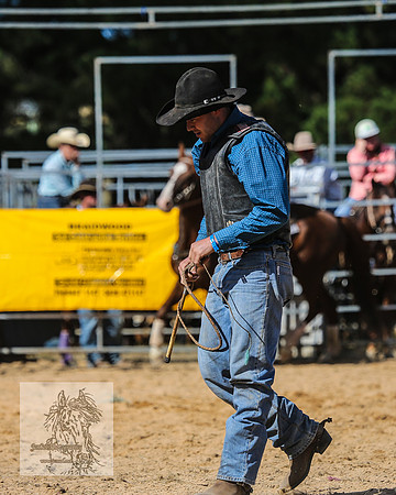 BraidwoodRodeo2015_2762