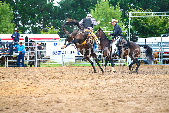 BraidwoodRodeo2017_1868