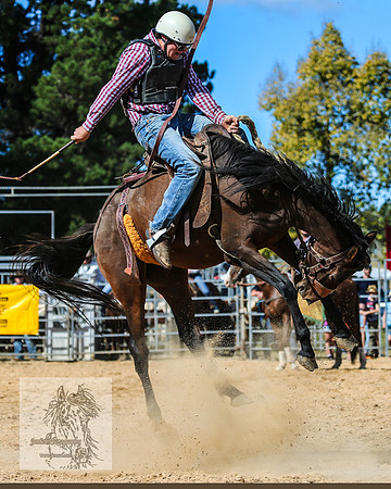 BraidwoodRodeo2015_2676