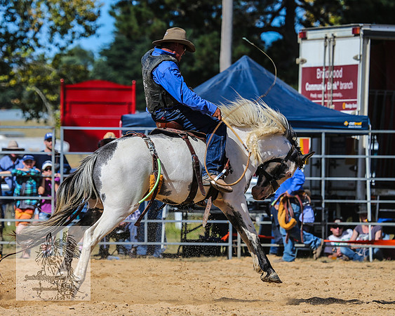 BraidwoodRodeo2015_2819