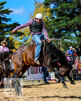 BraidwoodRodeo2015_2663