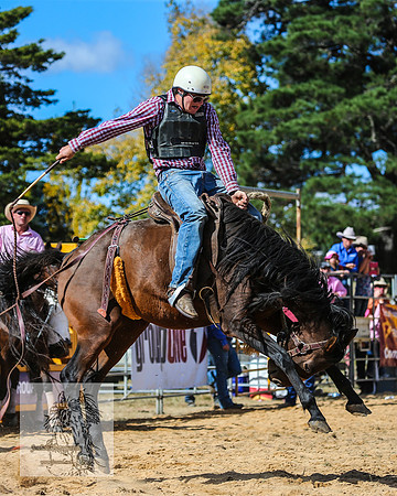 BraidwoodRodeo2015_2663