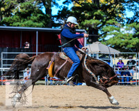 BraidwoodRodeo2015_2774