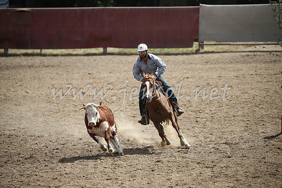 Tumut2_0523