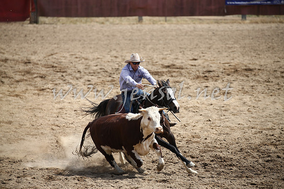 Tumut2_0551