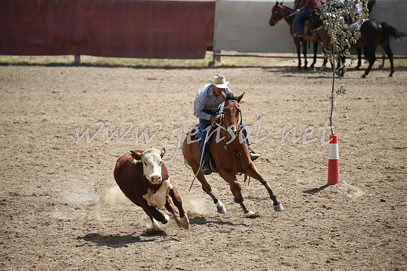 Tumut2_0634