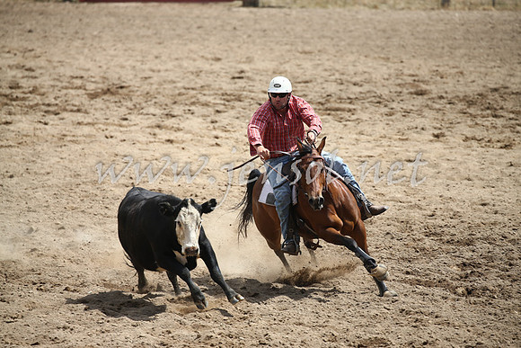 Tumut2_0704