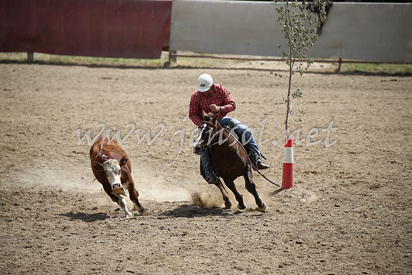 Tumut2_0679