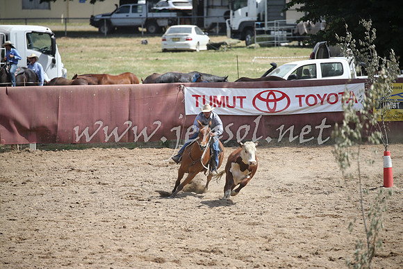 Tumut2_0631